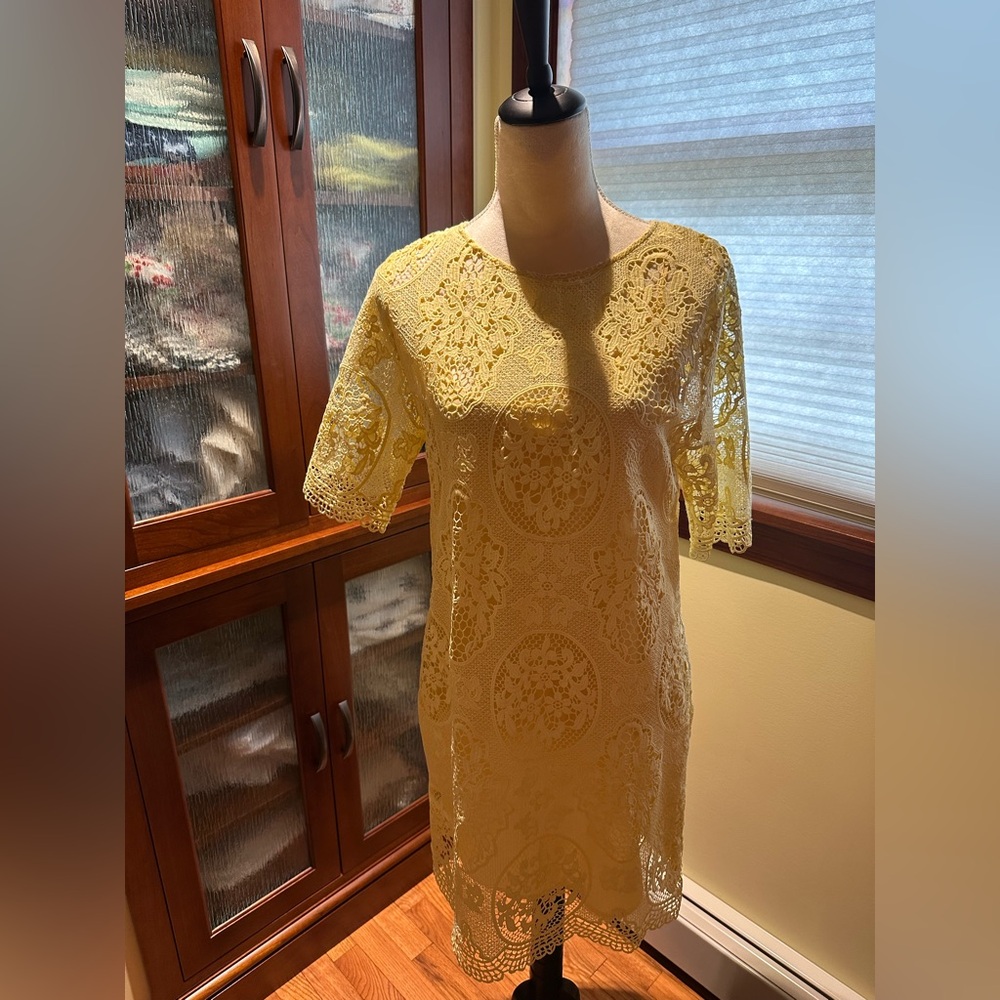 Zara Basic Yellow Lace Dress